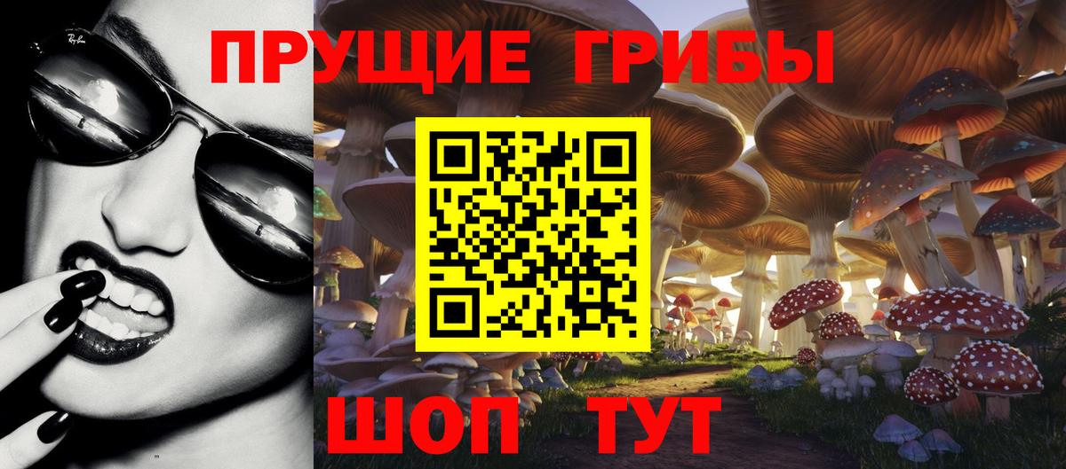 Псилоцибиновые грибы мицелий  Вход с VPN  Йошкар-Ола 