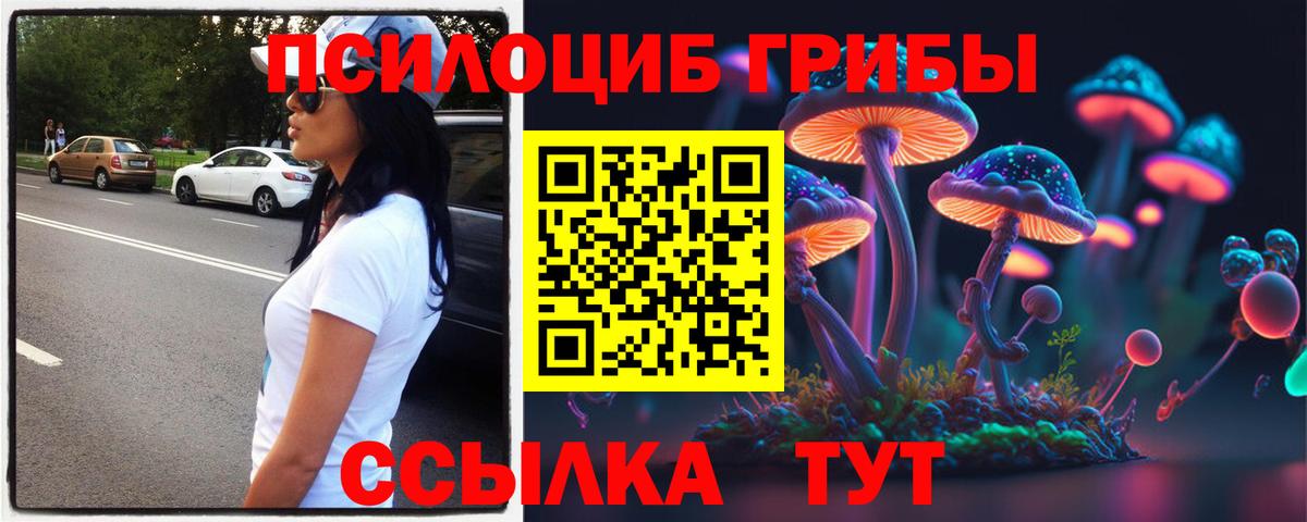 Псилоцибиновые грибы Cubensis Йошкар-Ола